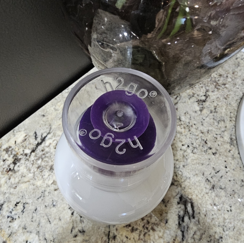 APPLE H260 WATER BOTTLE - Picture 5 of 6